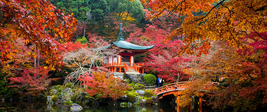 Jap&oacute;n y China